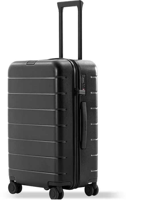 Luggage Classic Pro